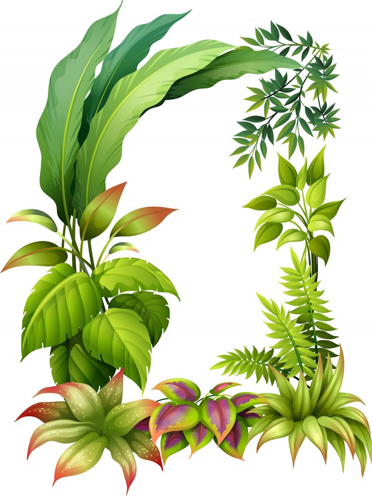 Vector gratuito plantas frondosas