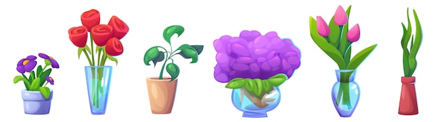 Plantas de interior con cabezas de flores en olla y jarrón