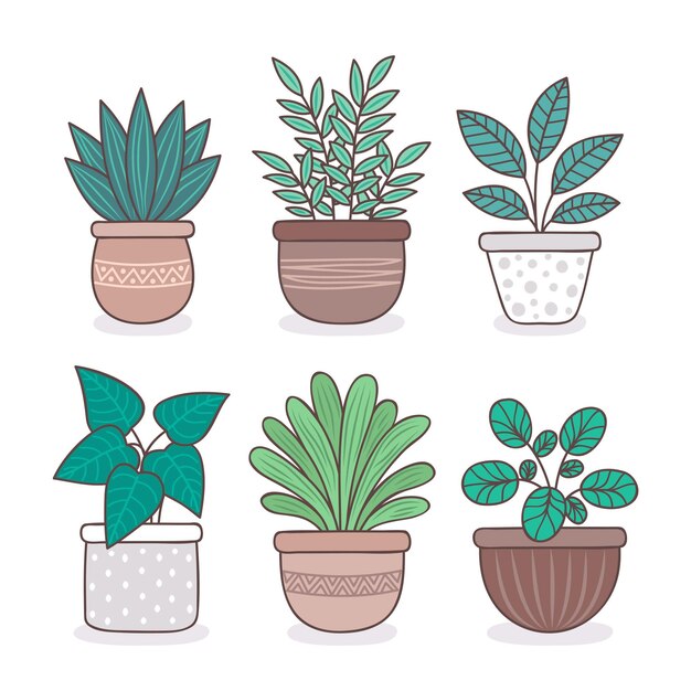 Plantas de interior dibujadas a mano en colección de macetas