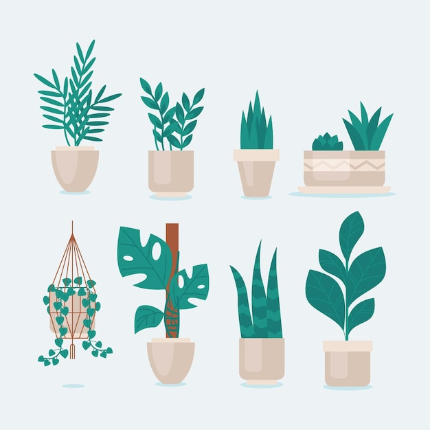 Vector gratuito plantas de interior dibujadas a mano en colección de macetas