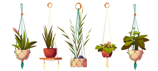 Vector gratuito plantas de interior en macetas colgantes, maceteros en perchas de macramé. conjunto de dibujos animados vectoriales de flores en soportes hechos a mano de cuerda para la decoración interior del hogar aislado sobre fondo blanco