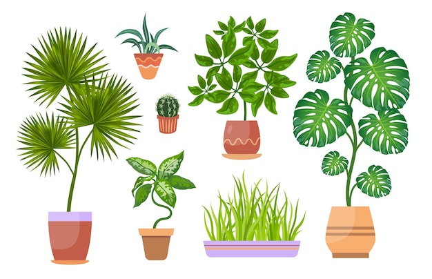 Plantas de interior en macetas conjunto de ilustraciones planas. dibujos de diferentes plantas en macetas para diseño de interiores de jardín de oficina o hogar aislado en blanco