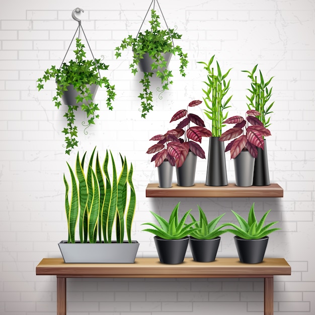 Vector gratuito plantas de interior realista pared de ladrillo blanco interior con macetas colgantes de hiedra suculentas en mesa
