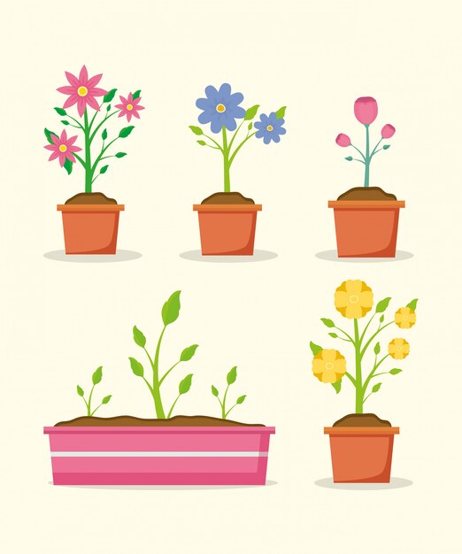 Plantas en macetas