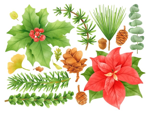 Plantas de navidad elementos de decoración ilustraciones estilos de acuarela