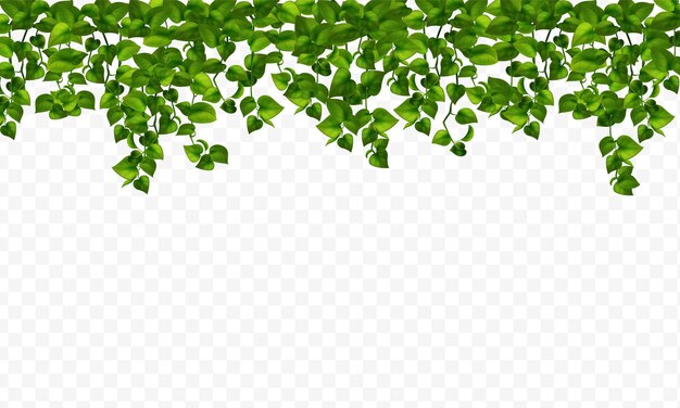Plantas Realistas De La Casa