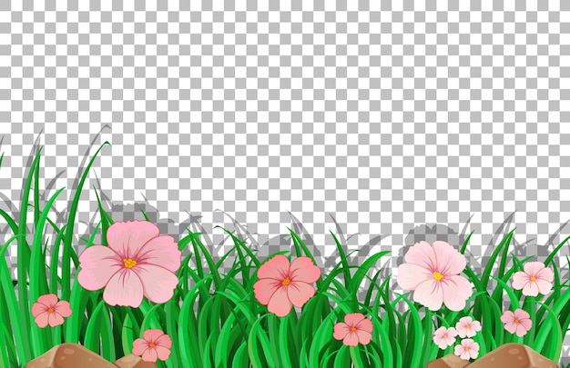 Plantilla de campo de flor rosa sobre fondo transparente
