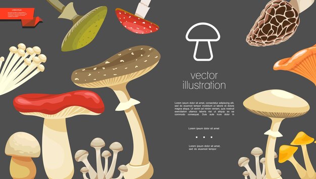 Plantilla colorida de setas del bosque plano con morilla rebozuelo russula enokitake hongos setas miel y agárico de mosca