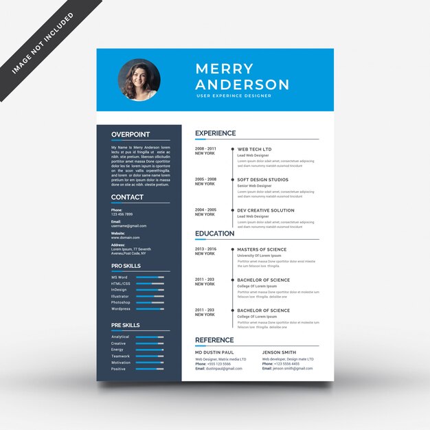 Plantilla del curriculum vitae
