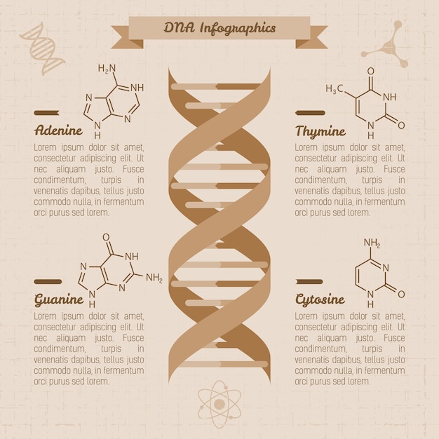 Vector gratuito plantilla de diseño de infografías médicas vintage, vector