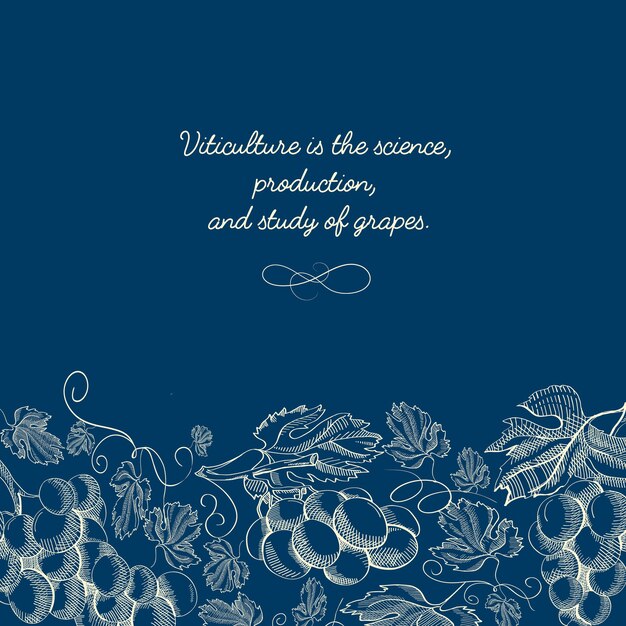 Plantilla elegante dibujo natural con racimos de uvas e inscripción en azul
