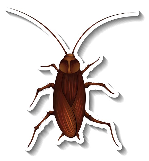 Una plantilla de etiqueta con vista superior de una cucaracha aislada