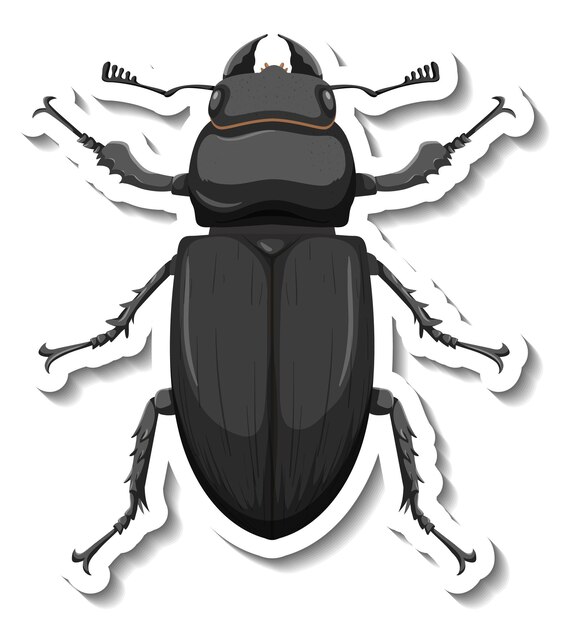 Una plantilla de etiqueta con vista superior de un escarabajo aislado