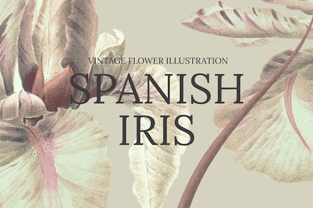 Plantilla de flor dibujada a mano con fondo de iris español, remezclada de obras de arte de dominio público