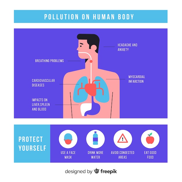 Vector gratuito plantilla infografía contaminación en el cuerpo humano