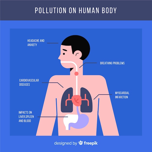 Plantilla infografía contaminación en el cuerpo humano