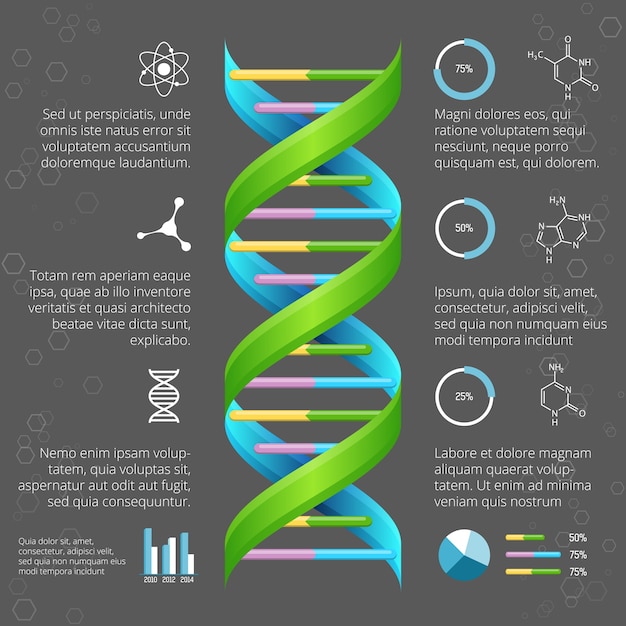Plantilla de infografía con estructura de ADN para investigación médica y biológica. Salud genética, evolución de la vida, hélice de línea modelo
