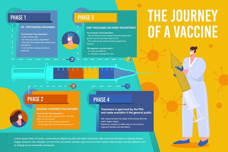 Vector gratuito plantilla de infografía de fases de vacuna plana de coronavirus