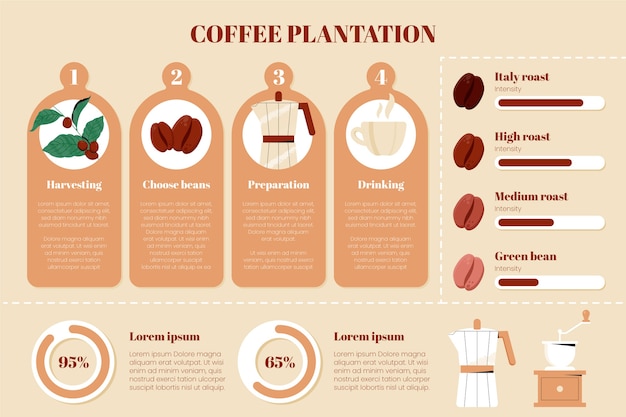 Plantilla de infografía de plantación de café dibujada a mano