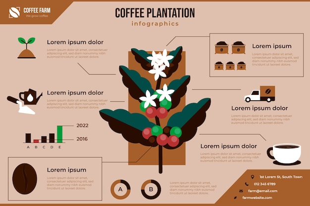 Plantilla de infografía de plantación de café de diseño plano