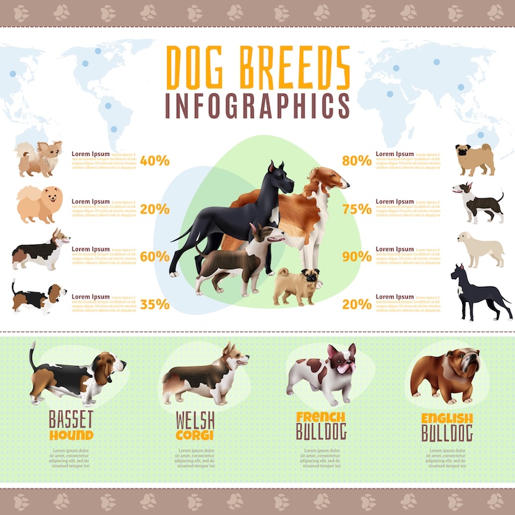 Vector gratuito plantilla de infografía de razas de perros