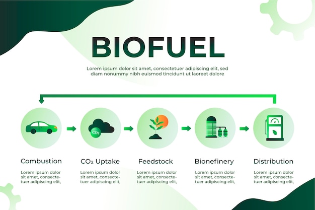 Plantilla infográfica de biocombustible degradado