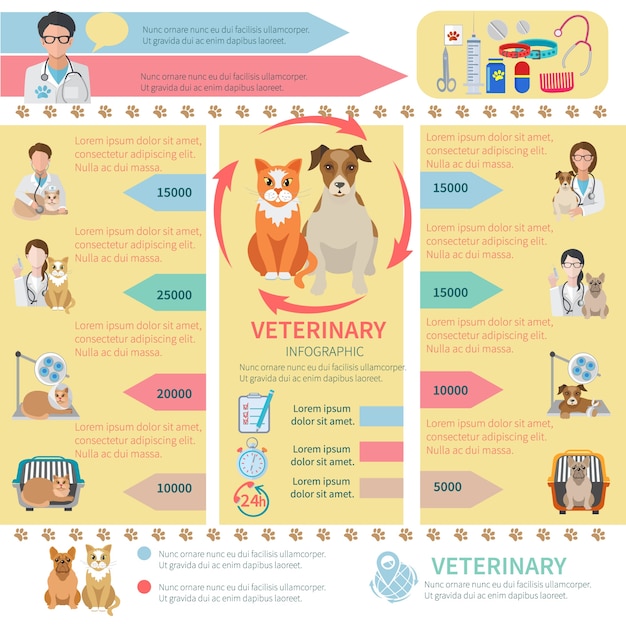 Vector gratuito plantilla infográfica veterinaria