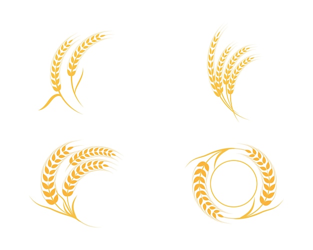 Plantilla de logotipo de trigo de agricultura