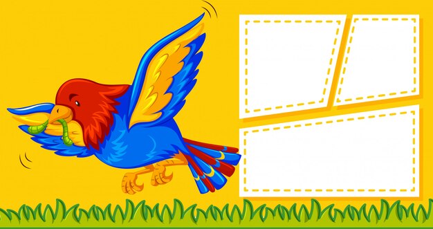 Una plantilla de loro en nota