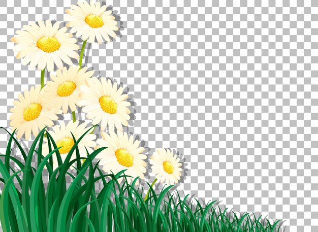 Plantilla de marco de flores blancas sobre fondo transparente
