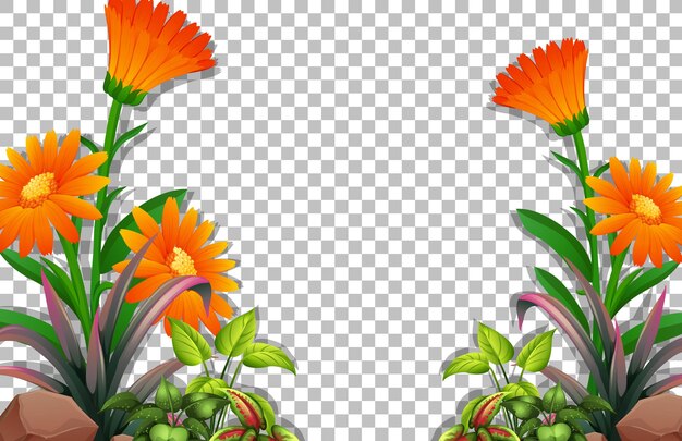 Plantilla de marco de flores y hojas sobre fondo transparente
