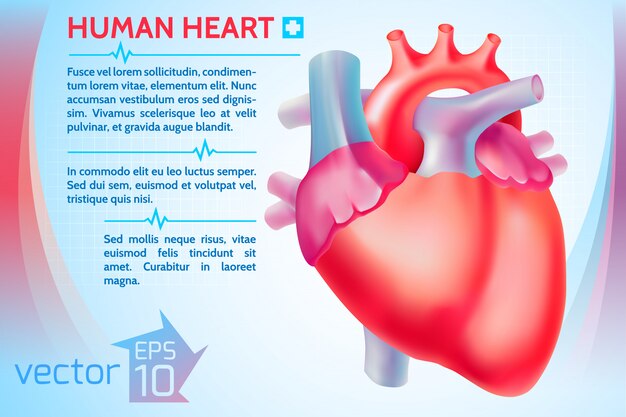 Plantilla de medicina saludable con texto y corazón humano colorido en ilustración de luz