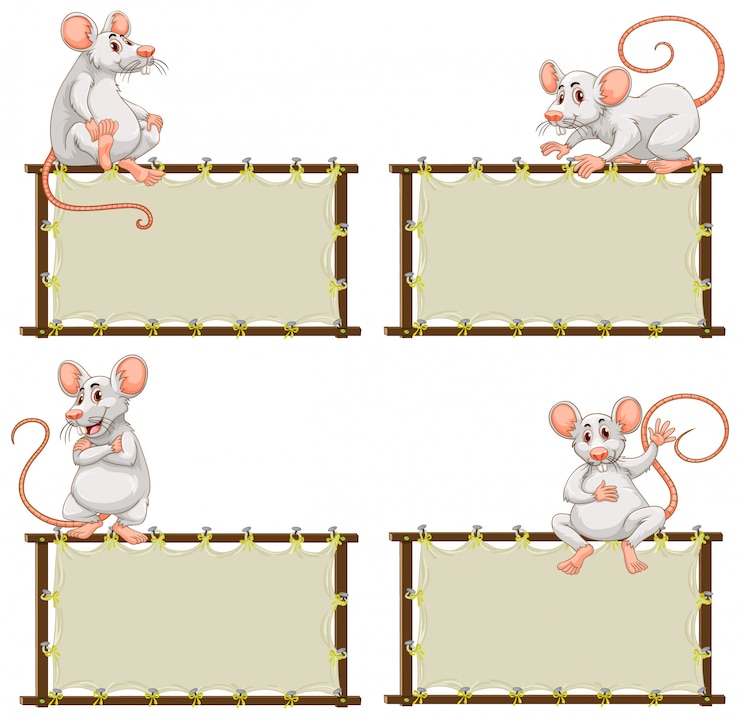 Vector gratuito plantilla de tablero con lindo mouse sobre fondo blanco