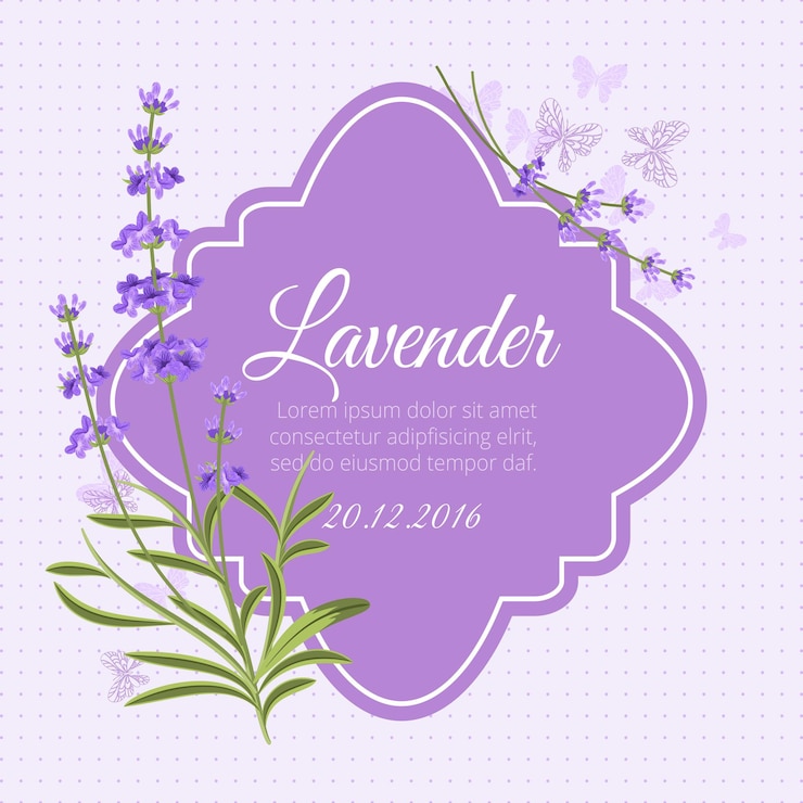 Vector gratuito plantilla de tarjeta de felicitación con lavanda fragante