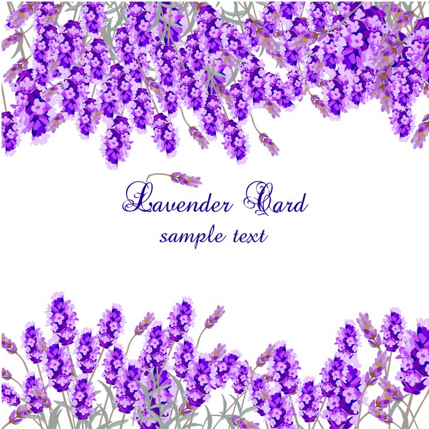 Plantilla de tarjeta con lavanda