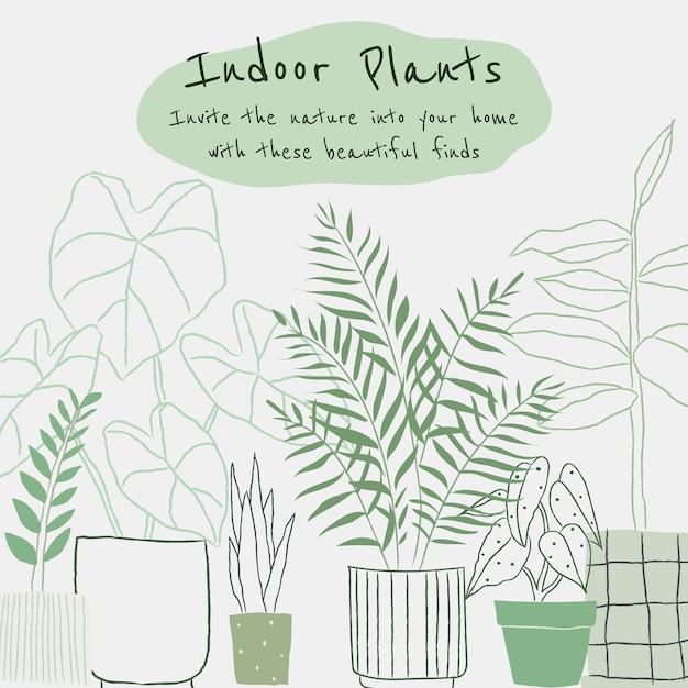 Plantilla de vector de plantas de interior en estilo doodle