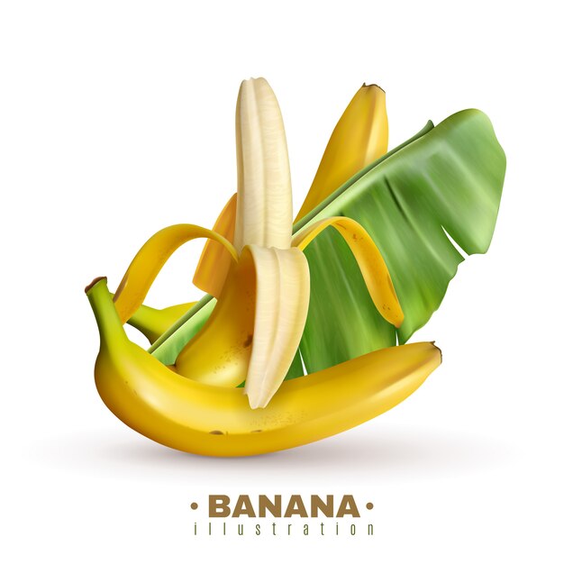 Plátano realista con texto editable e imágenes realistas de frutas de plátano con cáscara y hojas