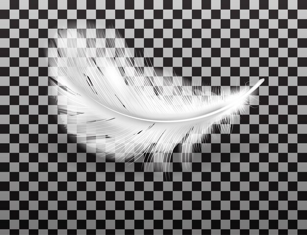 Pluma blanca esponjosa con sombra realista