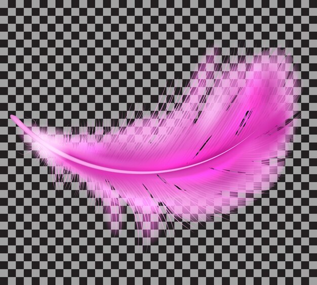 Pluma esponjosa de color rosa