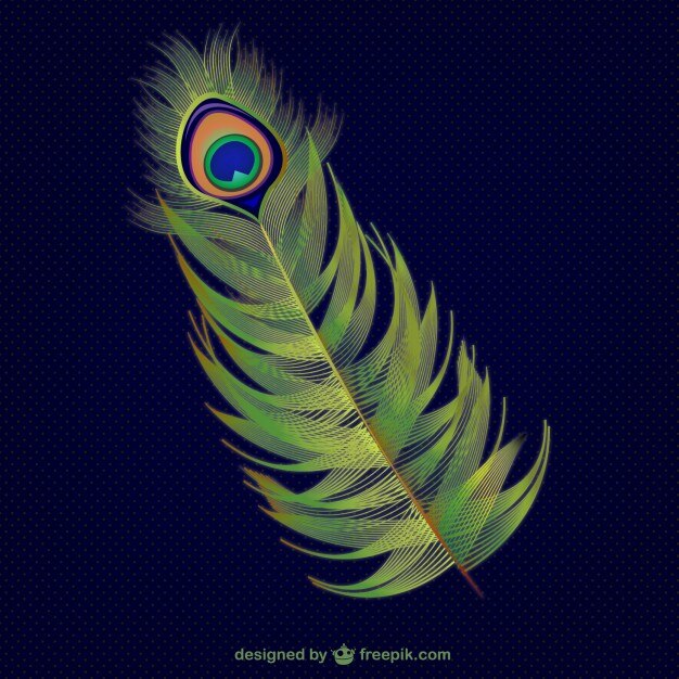 Pluma de pavo real abstracta