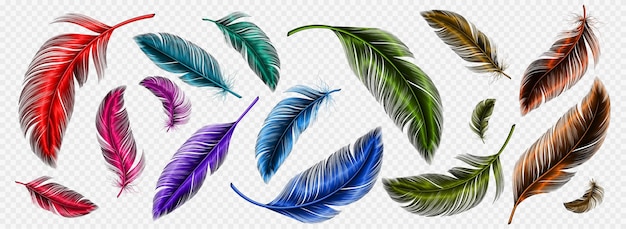 Vector gratuito plumas de color plumaje de pájaro suave