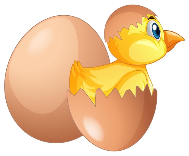 Pollito sale del huevo