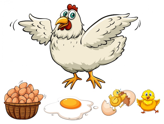 Pollo y huevos en canasta