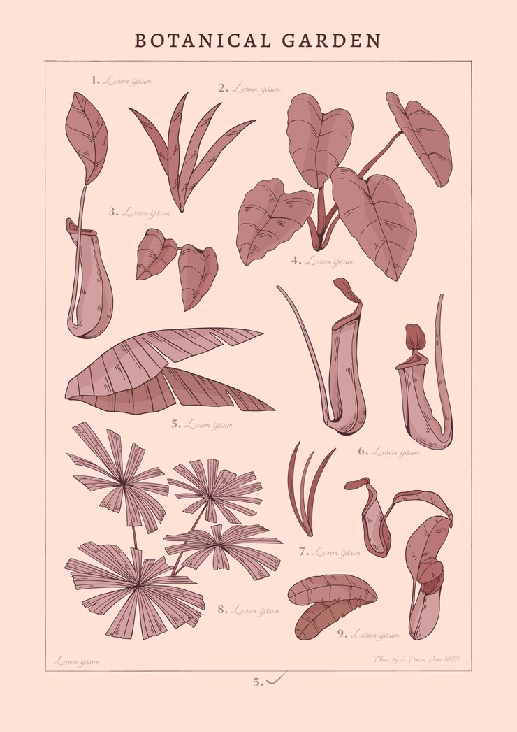 Vector gratuito póster de jardín botánico dibujado a mano