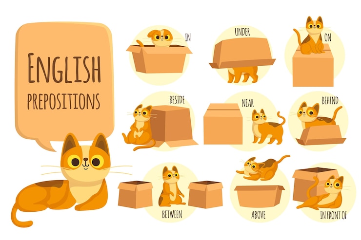 Vector gratuito preposiciones inglesas con gato ilustrado