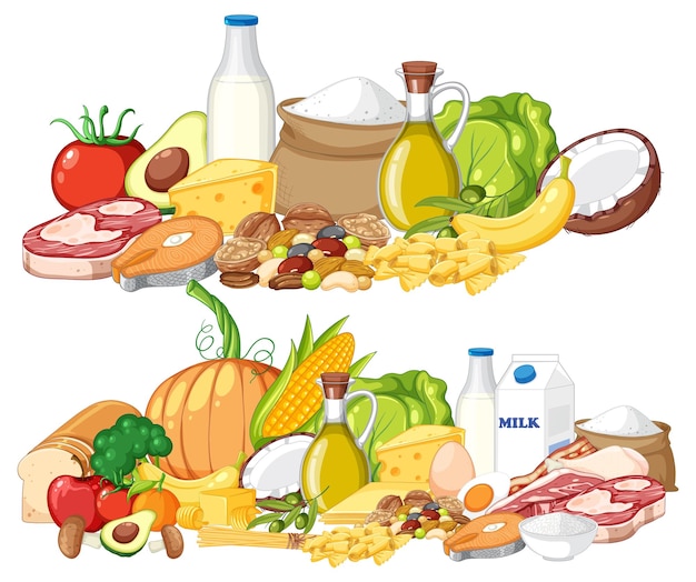 Principales grupos de alimentos macronutrientes vector