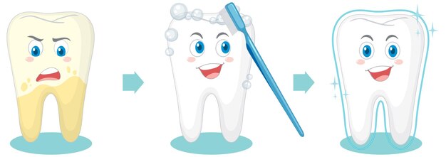 Procedimiento de limpieza de dientes sobre fondo blanco.
