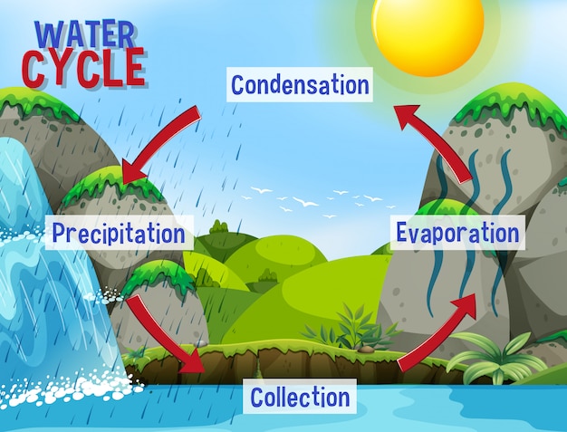 Proceso del ciclo del agua en la tierra - científico