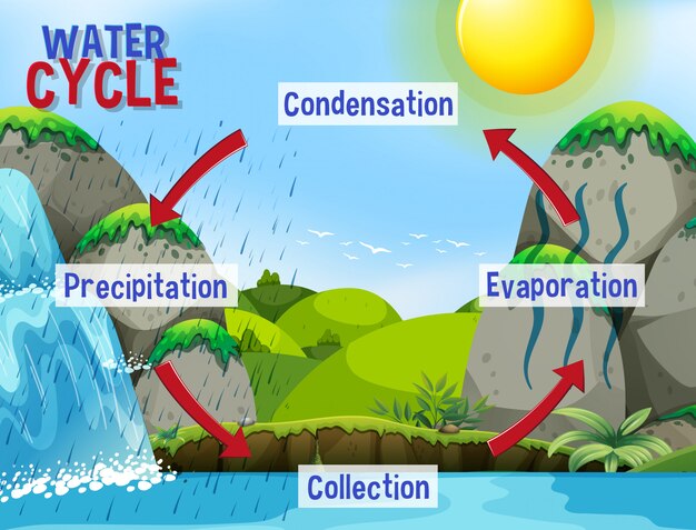 Proceso del ciclo del agua en la Tierra - Científico