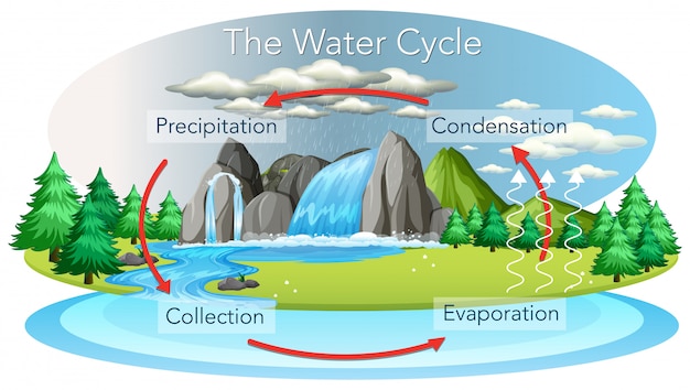 Proceso del ciclo del agua en la tierra.